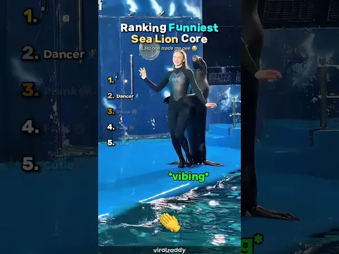 Ranking Funniest Sea Lion Core😮 #usa