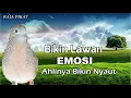 Download Lagu Suara Panggilan Perkutut bikin lawan EMOSI ahlinya bikin nyaut