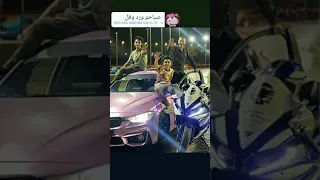 صباحو ورد وفل تصميمي لي سامر المدني 