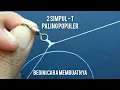 2 simpul T paling populer -how to create T knot