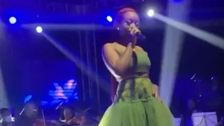gyakie s massive performance at her experience concert with other artist