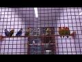 Download Lagu Daisy learns and appreciates all these amazing birds (with Instrumental Bird Music)