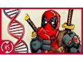 COMIC THEORY Is DEADPOOL a Mutant Comic Misconceptions NerdSync