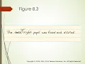Chapter 8 Principles of Effective Documentation