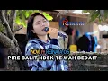 Download Lagu REINATA05 ft NOVI \