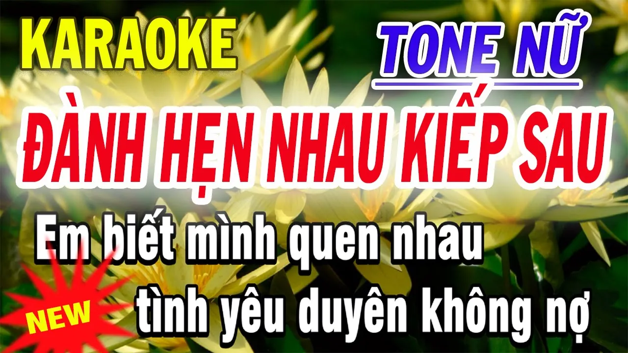 Đành Hẹn Nhau Kiếp Sau 