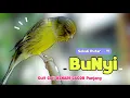 Download Lagu Kenari GACOR !!! Suara PANCINGAN KENARI PAUD Belajar BUNYI Ngeriwik - MASTERAN Kenari PAUD