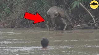 Las 10 Criaturas más Extrañas Vistas en Ríos.