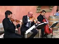 Florence Art Ensemble String Trio Viva la vida