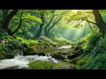 Download Lagu Bosgeluiden, stromende rivieren en fluitende vogels, prachtige merel- en nachtegaalzang