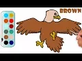 Drawing tutorial for Eagle Painting an Eagle Coloring Pages MHP Learning School