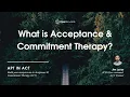 What is Acceptance and Commitment Therapy ACT