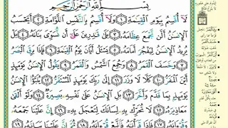 سورة القيامة مكررة   مرات الشيخ المنشاوي دندنها