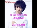 Lagu Xu Duo Nian Yi Hou 许多年以后  -  Zhao Xin 赵鑫 { Lirik \u0026 Terjemahan }