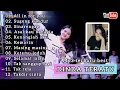 Download Lagu DINDA TERATU TERBARU 2025 FULL ALBUM Vol.01 #dindateratu #siskaamanda #dinanesia #sts
