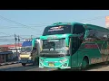 Download Lagu basuri abang jarang pulang bus pelita baru jurangan enom corong atas