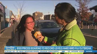 On the hunt for the best egg prices across NYC