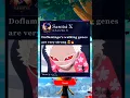 Download Lagu #Doflamingo #Onepiece
