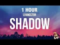 1 HOUR Livingston - Shadow don t think twice you ll be dead in a second