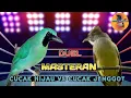 Lagu Duel Masteran Cucak Hijau VS Cucak Jenggot