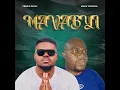 Download Lagu King tsonga (mavabyi) amapino 2025