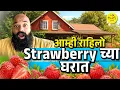 Lagu I stayed in Forest House for 24 hours | Best Homestay | Mahabaleshwar | #Bha2Pa