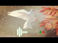 Download Lagu Pigeon voice||Pigeon voice ringtone Cute sms |Pigeon voice ringtone|Pigeon voice over |h khan