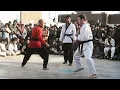 Download Lagu Kung Fu-meester VERNIETIGT Karatevechter met WAANZINNIGE bewegingen