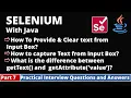 Part7-Selenium with Java Tutorial Practical Interview Questions and Answers InputBox