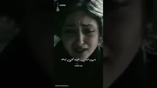 قوي قلبك علي الفراق ايران وعلي حالات واتساب 