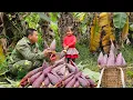Lagu Harvesting wild banana flowers and bring them to the market to sell-Cooking,banana flowers salad