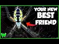 This Spider Will CURE Your Arachnophobia - The Garden Spider