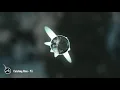 Catching Flies - Yŭ