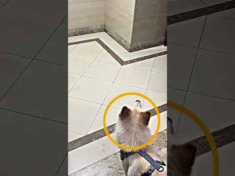 #blowthisaccountup