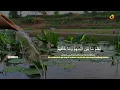 Download Lagu 🔥AYAT RUQYAH MUSTAJAB❗AYAT PENAWAR SIHIR \u0026 GANGGUAN JIN, PENENANG HATI dan JIWA, DIBUKA PINTU REZEKI