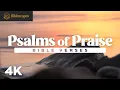 Psalms of Praise Bible readings to lift your heart