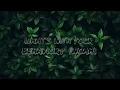 [1HOUR] David Guetta - Say My Name (Lyrics) ft. Bebe Rexha, J Balvin | Top Best Songs