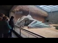 Mythical Zoo