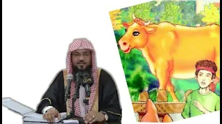 قصة البقرة بقرة بني إسرائيل الشيخ محمد بن علي الشنقيطي 