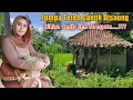 Download Lagu TERPESONA MELIHAT KECANTIKAN DAN KELEMBUTAN TEH KINANTI JANDA DESA SEDERHANA