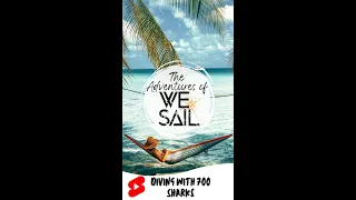 WE Sailed Thousands of Miles to Be Alone in Paradise. Remote and Not Afraid. #shorts