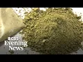 Kratom supplement faces scrutiny over addiction concerns