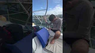 Aftermath of Hurricane Nicole #shorts #sailingbyefelicia #hurricanedamage