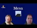 Interview with Mesa Agent-based modeling in Python TechTalks