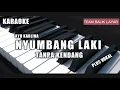 Download Lagu NYUMBANG LAKI - AYU KARLINA TANPA KENDANG | ADA VOKAL