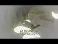시부야의 새벽을 본 적 있어요? │요아소비 - 군청│YOASOBI - 群青 [가사/번역/MV]