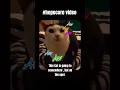 Download Lagu Aw Aw Aw Cat😺 || #hopecore #awawaw #cat
