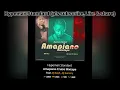 Download Lagu Amapiano Cruise Mixtape - Hypeman Standard  ft. Dj Rash X Dj Sammy.