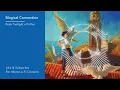 Lo-Fi Music: To Study / Unwind / Sleep | Peak Twilight x Prithvi - Magical Connection