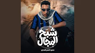 شبح المجال دندنها